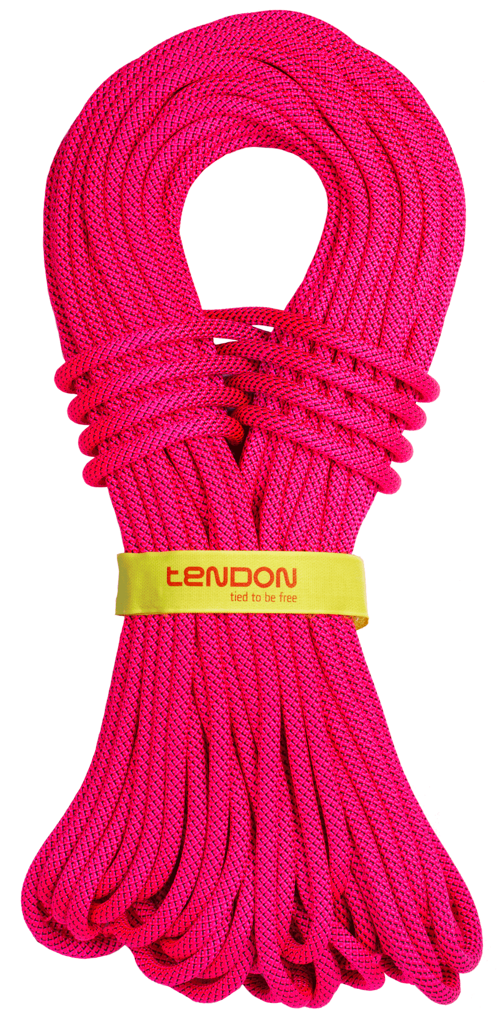 TENDON Master 9.0 TeFIX